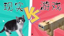 小七爆料游戏视频,游戏视频幕后精彩瞬间大放送！  第3张