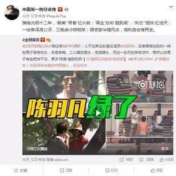 鲁山爆料者最新回应视频,揭秘事件真相与后续发展  第3张 鲁山爆料者最新回应视频,揭秘事件真相与后续发展  第3张